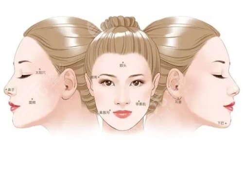 重醫(yī)大附一院脂肪填充價格