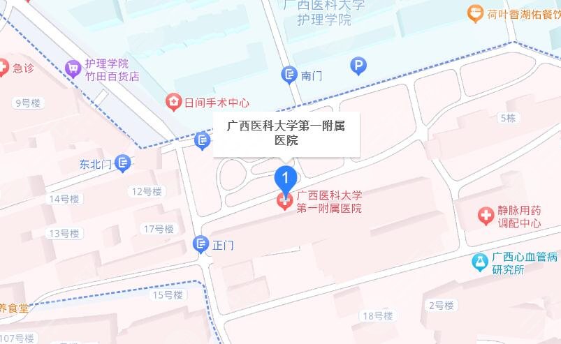 廣西醫(yī)科大學(xué)第一附屬醫(yī)院地址