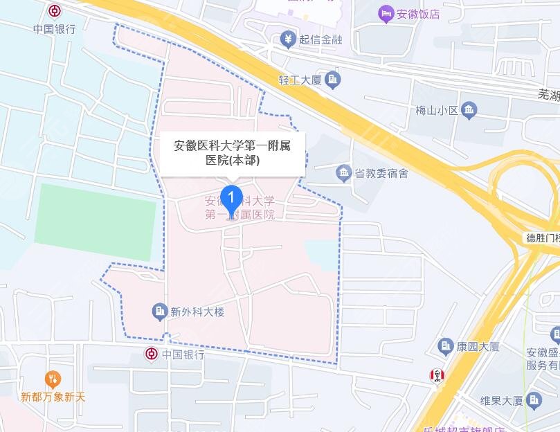 安徽醫(yī)科大學第一附屬醫(yī)院地址