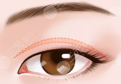 浙大二院陳文才簡(jiǎn)介公開(kāi)