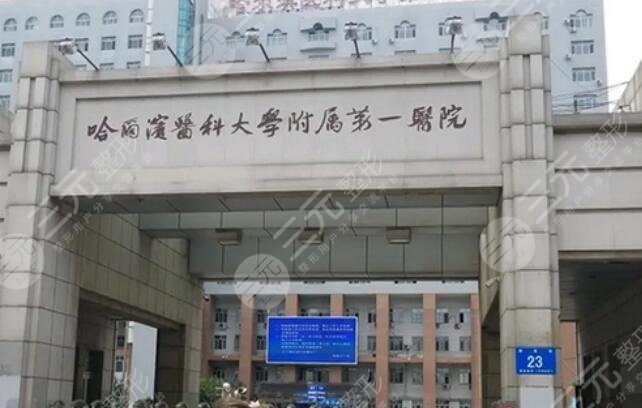 哈爾濱醫(yī)科大學附屬第一醫(yī)院