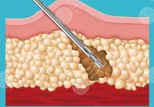 重慶銅雀臺(tái)和軍科哪個(gè)好一些啊
