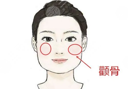 崔榮達(dá)和樸興植那個(gè)好