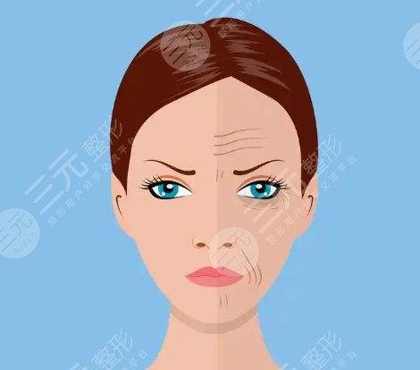 抬頭紋動(dòng)漫d