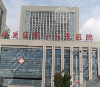 武漢江夏區(qū)第一人民醫(yī)院